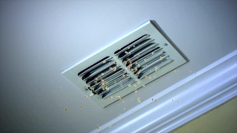 HVAC System Cleaning in MD