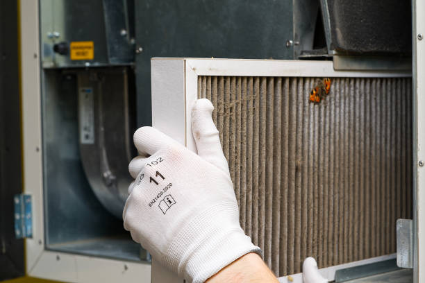 Best Affordable Duct Cleaning Services  in Hampton, MD